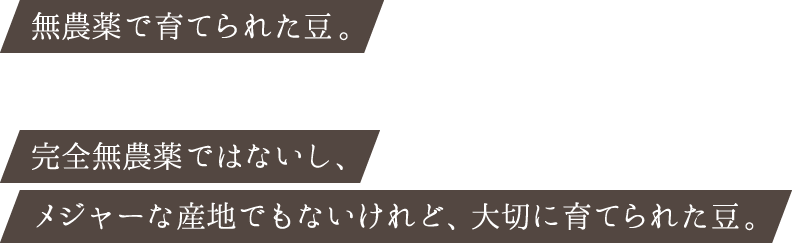 無農薬で育てられた豆。完全無農薬ではないし、メジャーな産地でもないけれど、大切に育てられた豆。